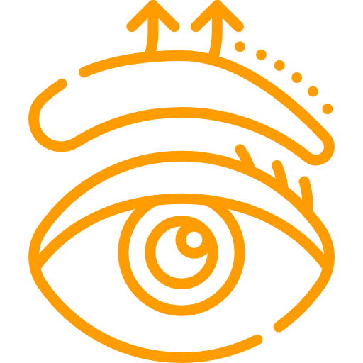 Eyebrow Lamination